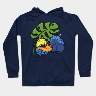 Dart Frog Buddies Hoodie